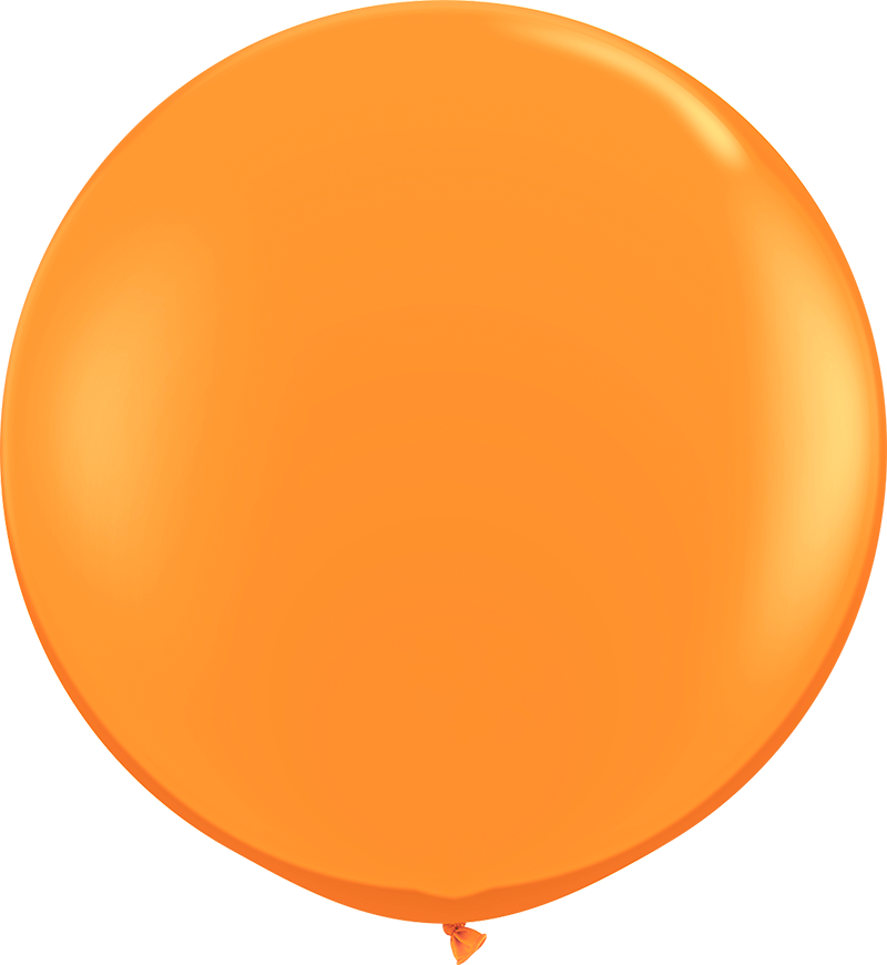 Orange<br>PMS 1495