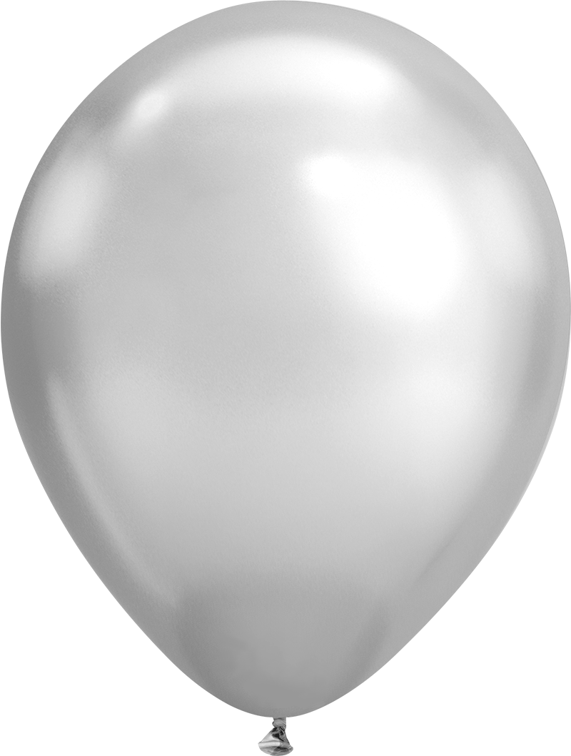 Argent <br>PMS 877