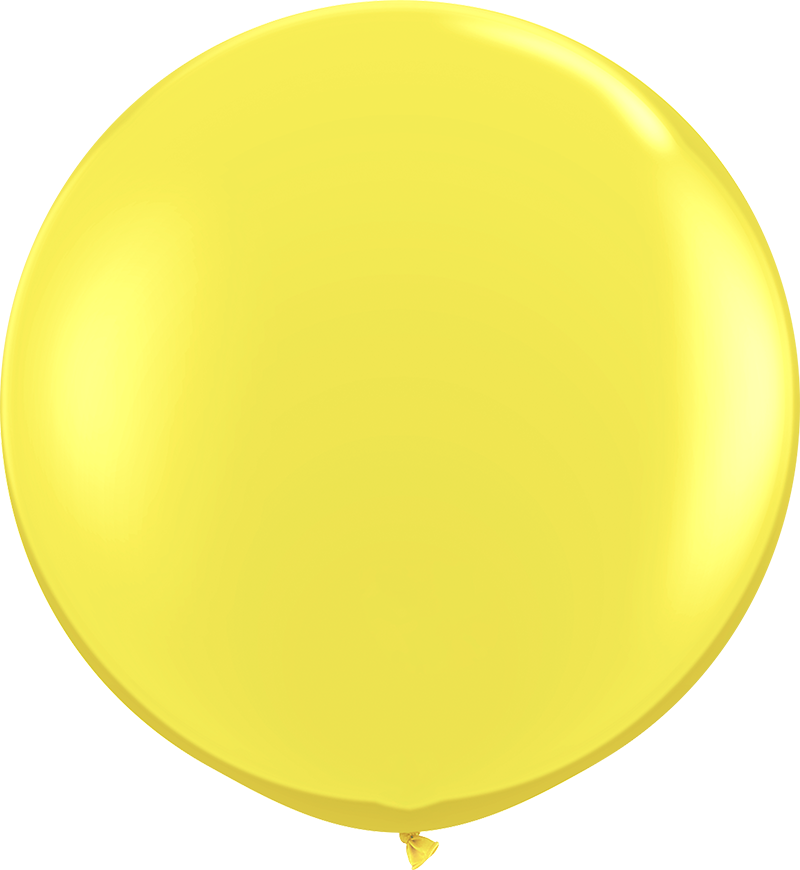 Jaune<br>PMS 101